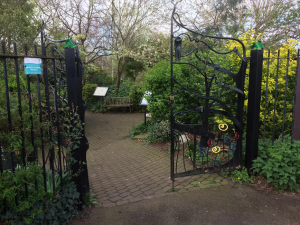 Read more about the article 06. Gosport’s Secret Garden: history and plant life